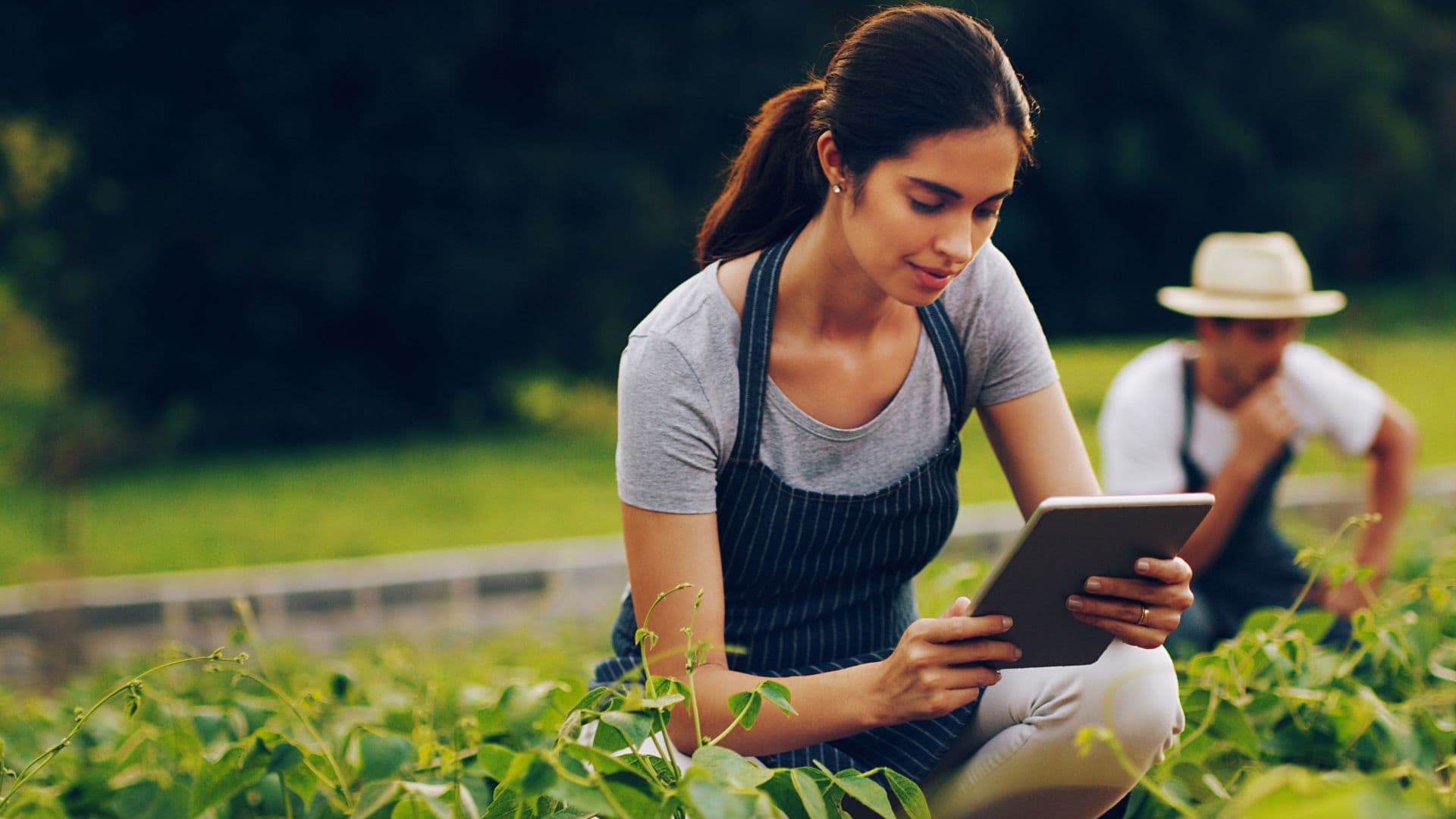 AI in Customer Experience